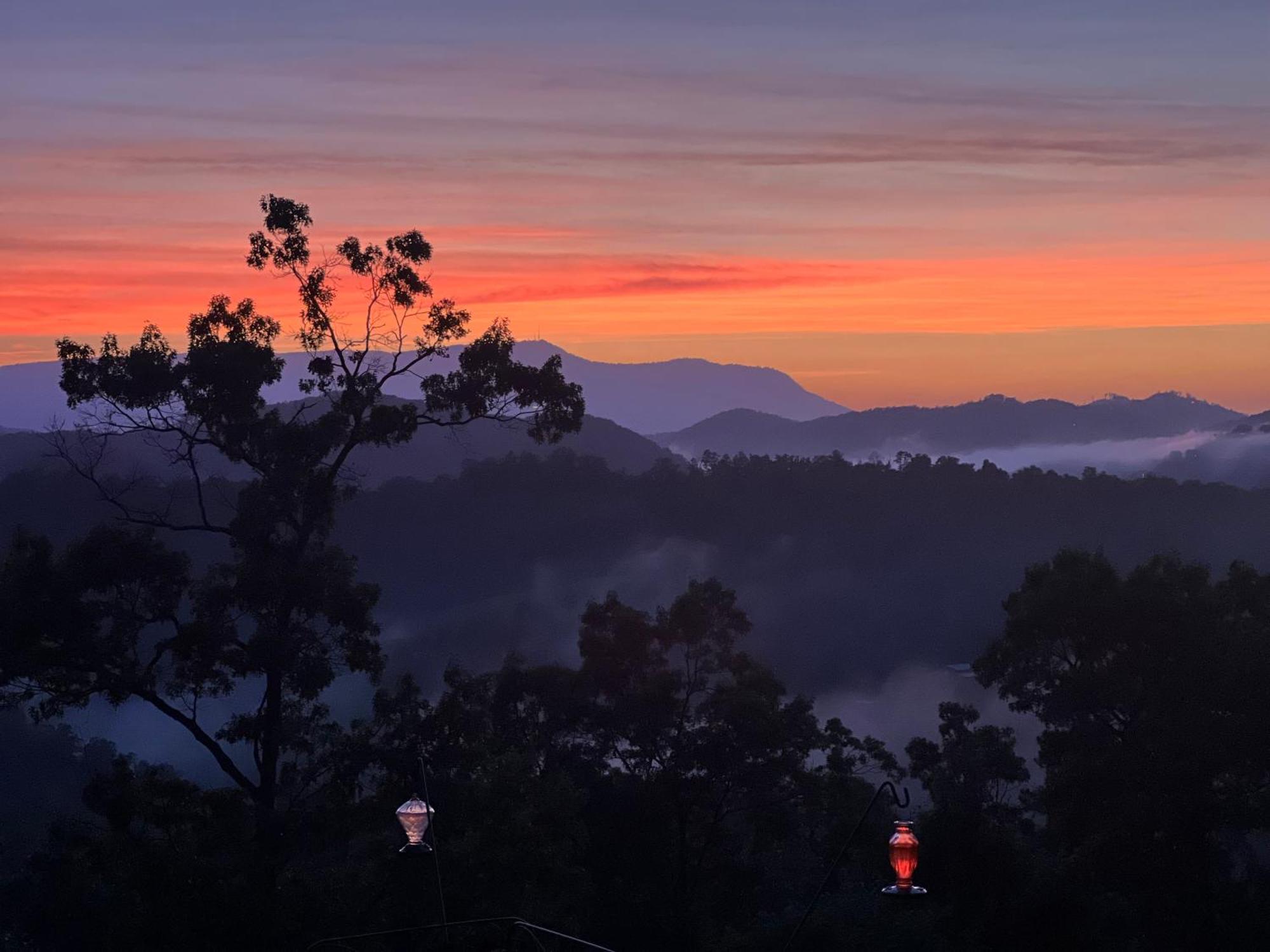 Smoky Best - Glowing Twilight Pigeon Forge Dış mekan fotoğraf