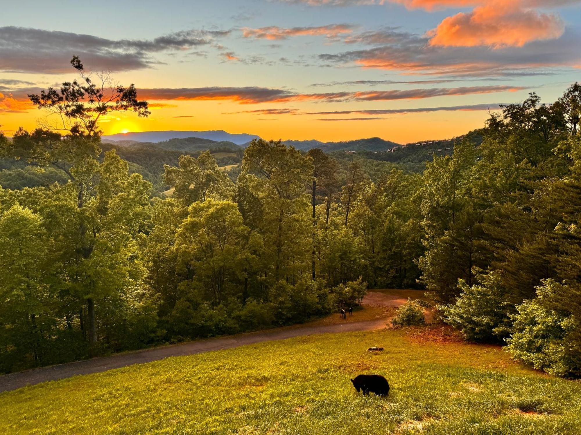 Smoky Best - Glowing Twilight Pigeon Forge Dış mekan fotoğraf